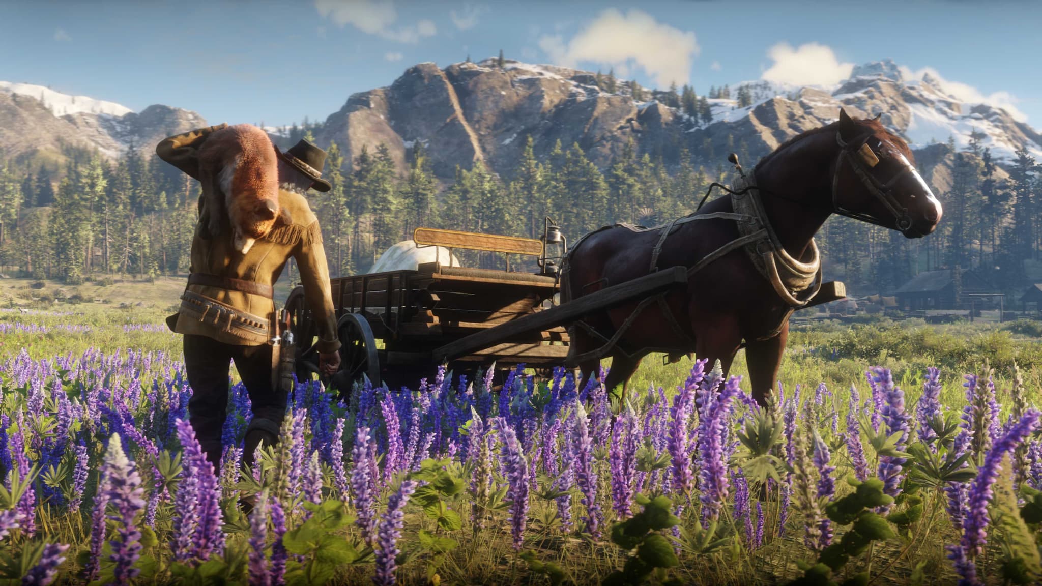 rdo_trader_bonuses_animal.jpg