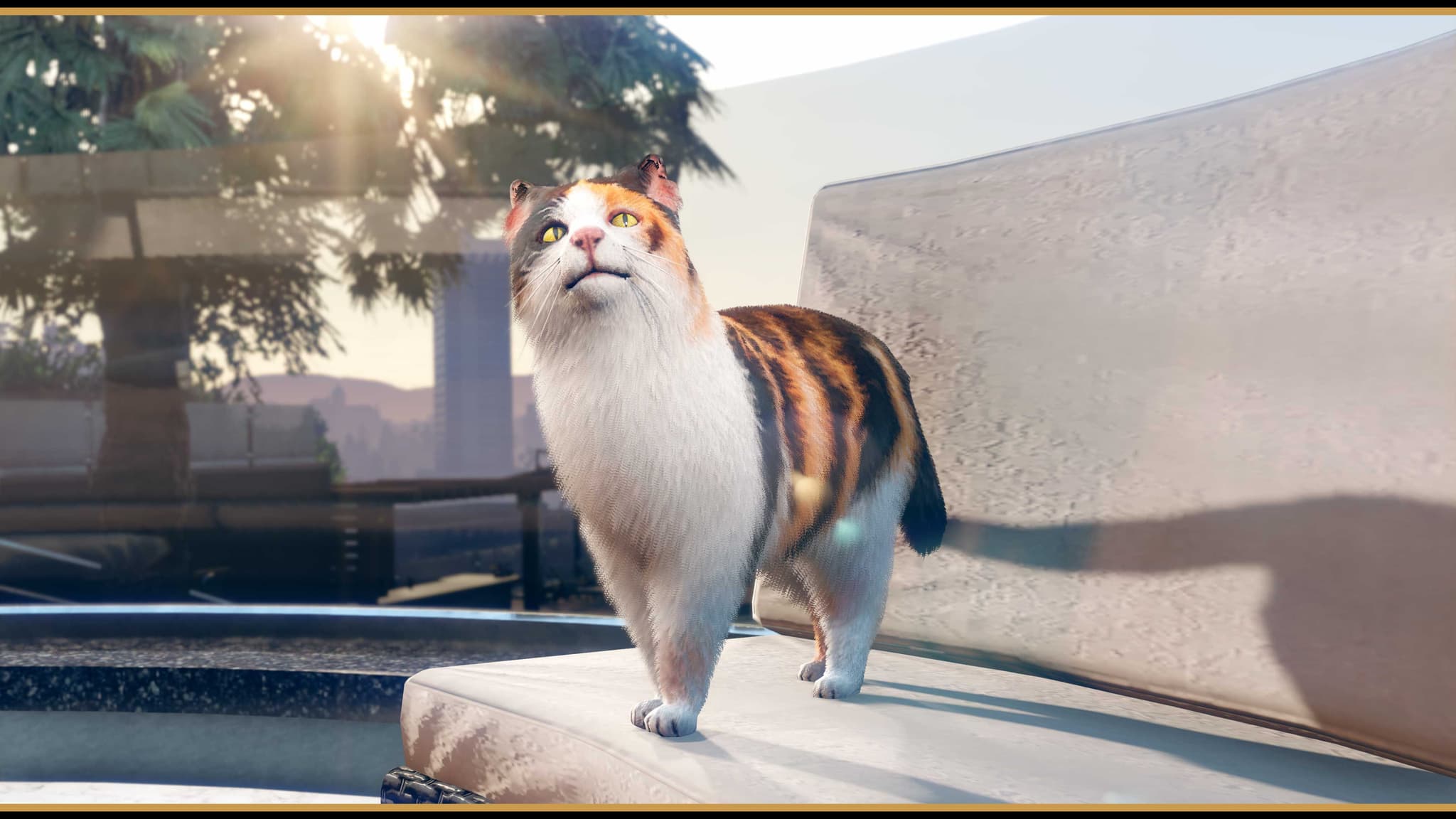 mansions_cat.jpg
